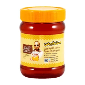 عسل طبیعی کنار رضا 470 گرمی تهیه شده از شهد درختان سدر جنوب