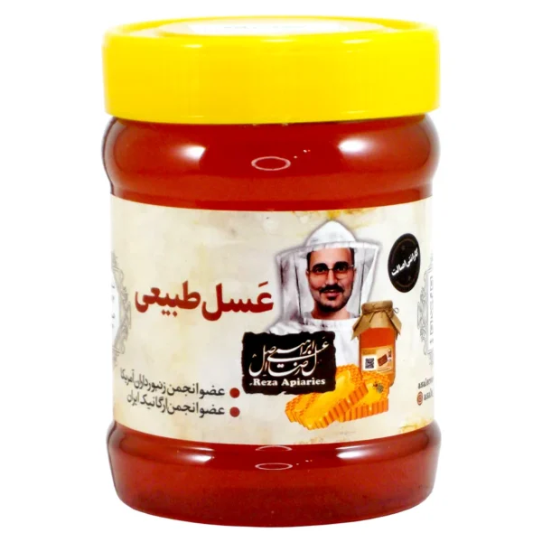 عسل سیاه دانه طبیعی 470 گرمی