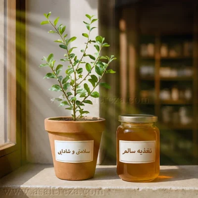 تغذیه سالم