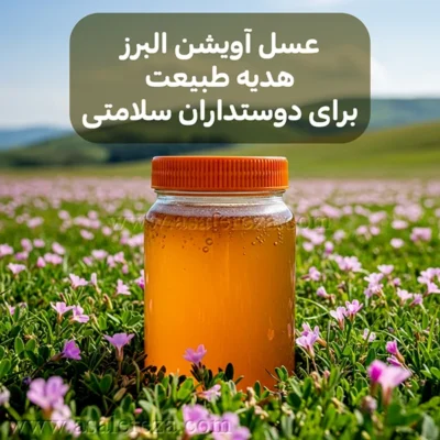 عسل آویشن البرز در دشت آویشن