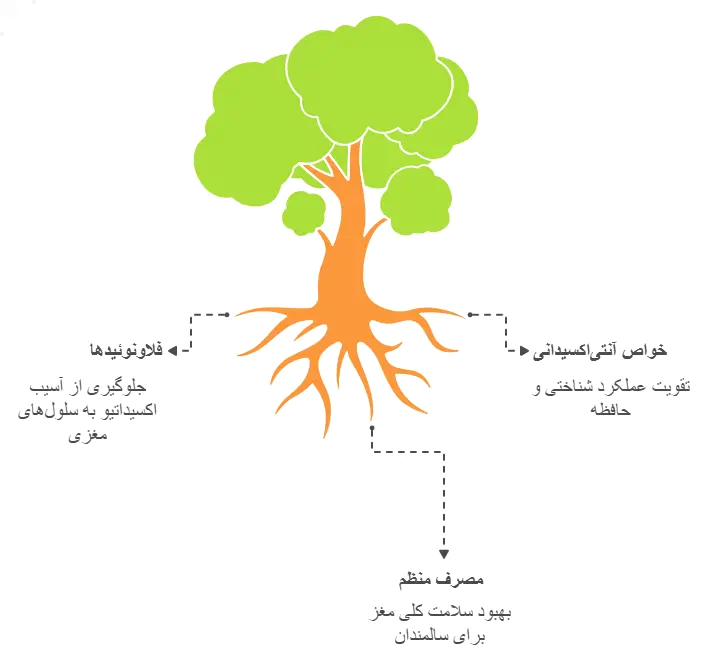 کاهش ریسک ابتلا به آلزایمر