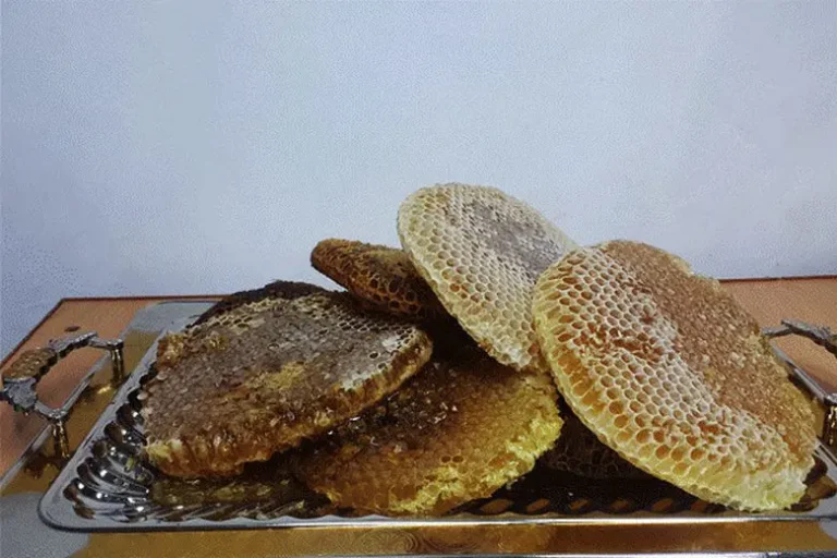 فرق عسل خودبیاری با عسل وحشی