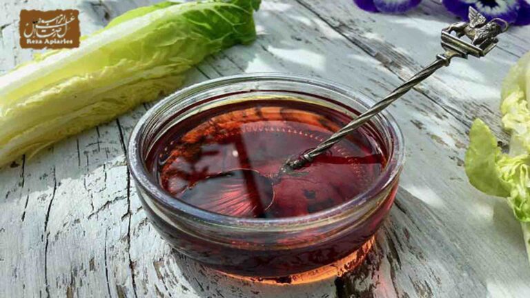 طرز تهیه شربت سکنجبین