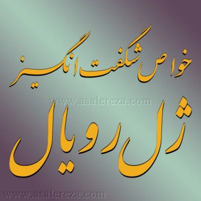 خواص شگفت انگیز ژل رویال