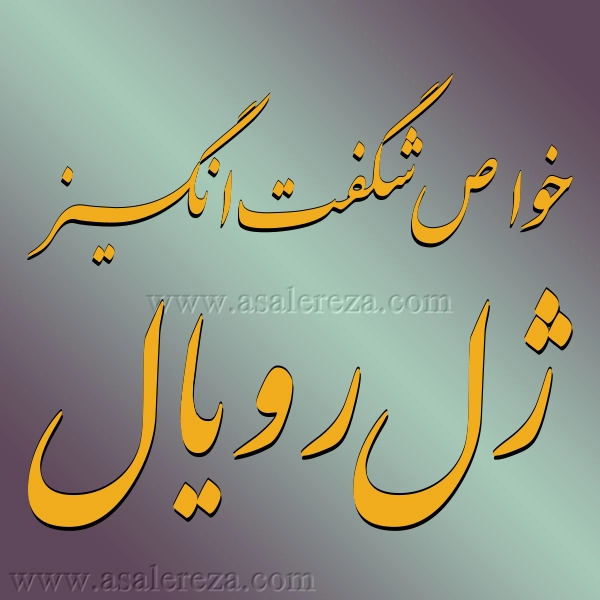 خواص شگفت انگیز ژل رویال