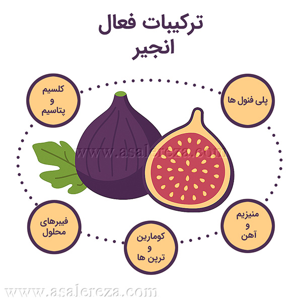 ترکیبات فعال انجیر