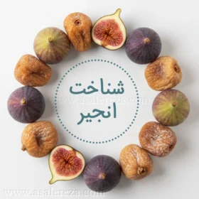 آشنایی با میوه انجیر و خواص آن